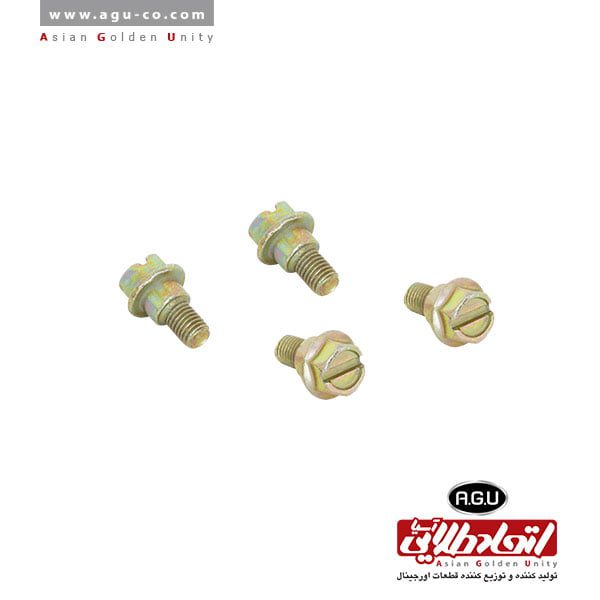 پیچ قالپاق سوپاپ پیکان 10821182 A.G.U