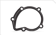 واشر واتر پمپ 405 آهنی - DOOSTAN  166063256