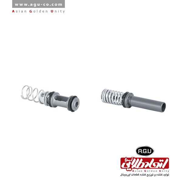 لوازم پمپ ترمز کامل دو پیستون پیکان 10815142 A.G.U